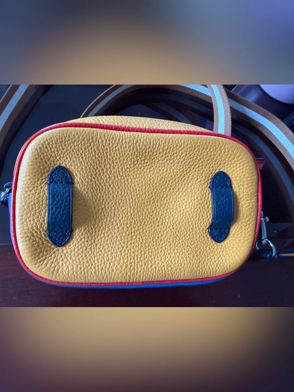 Coach Jes Convertible Colorblock Belt Bag